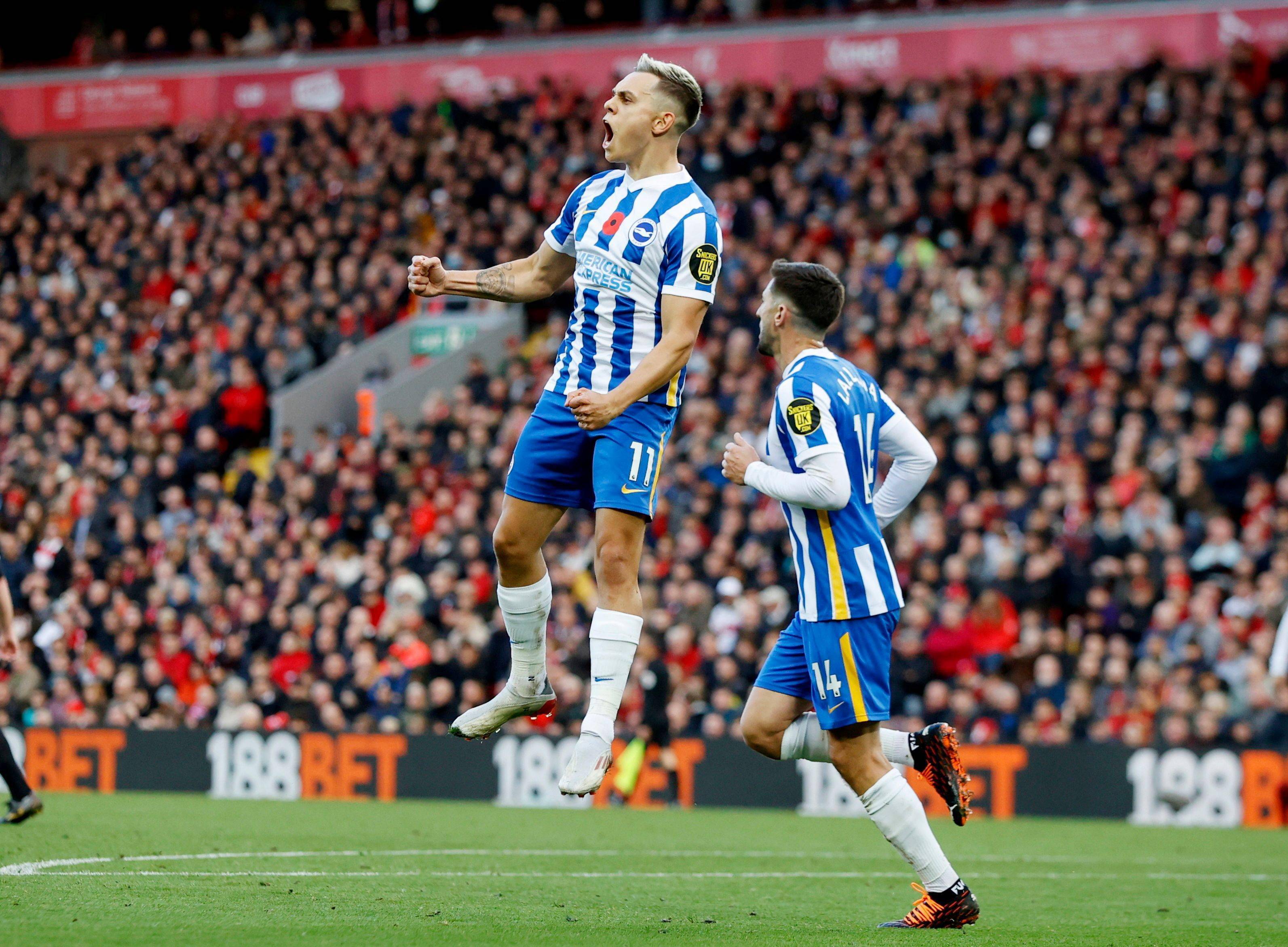 性的握拳动 性的握拳动